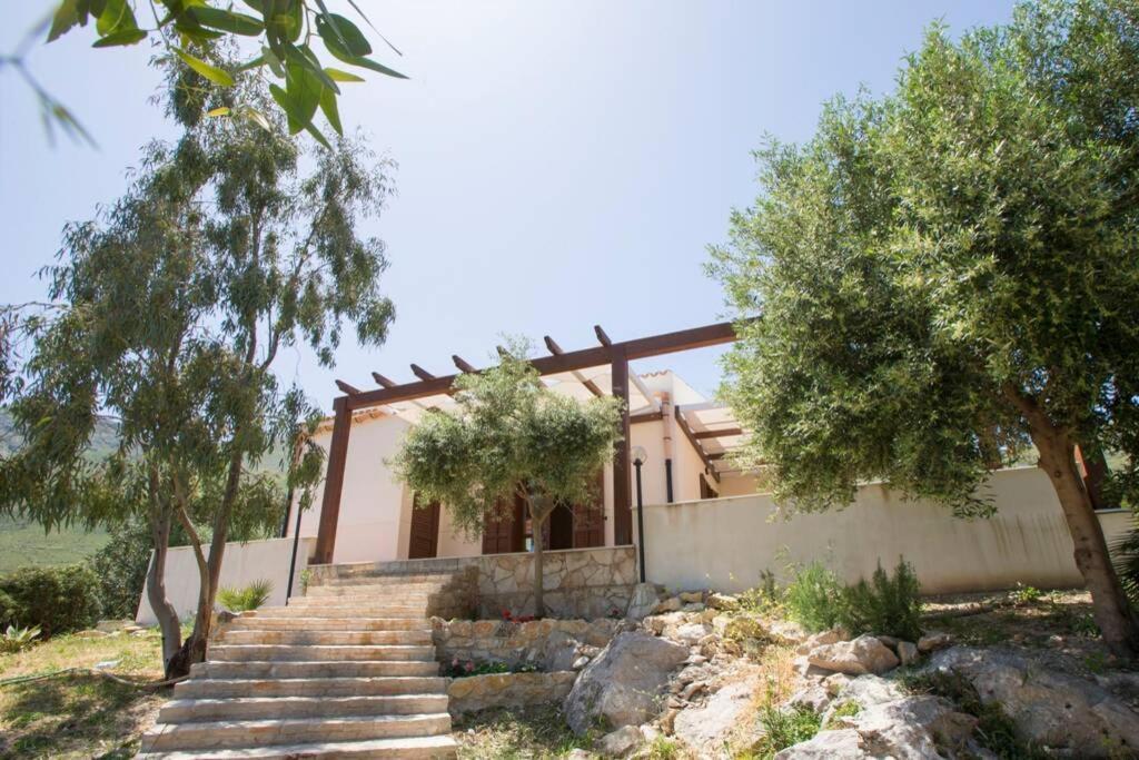 Vigneto San Vito Lo Capo
